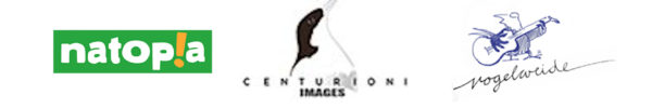 logo_eigener_naturfilm